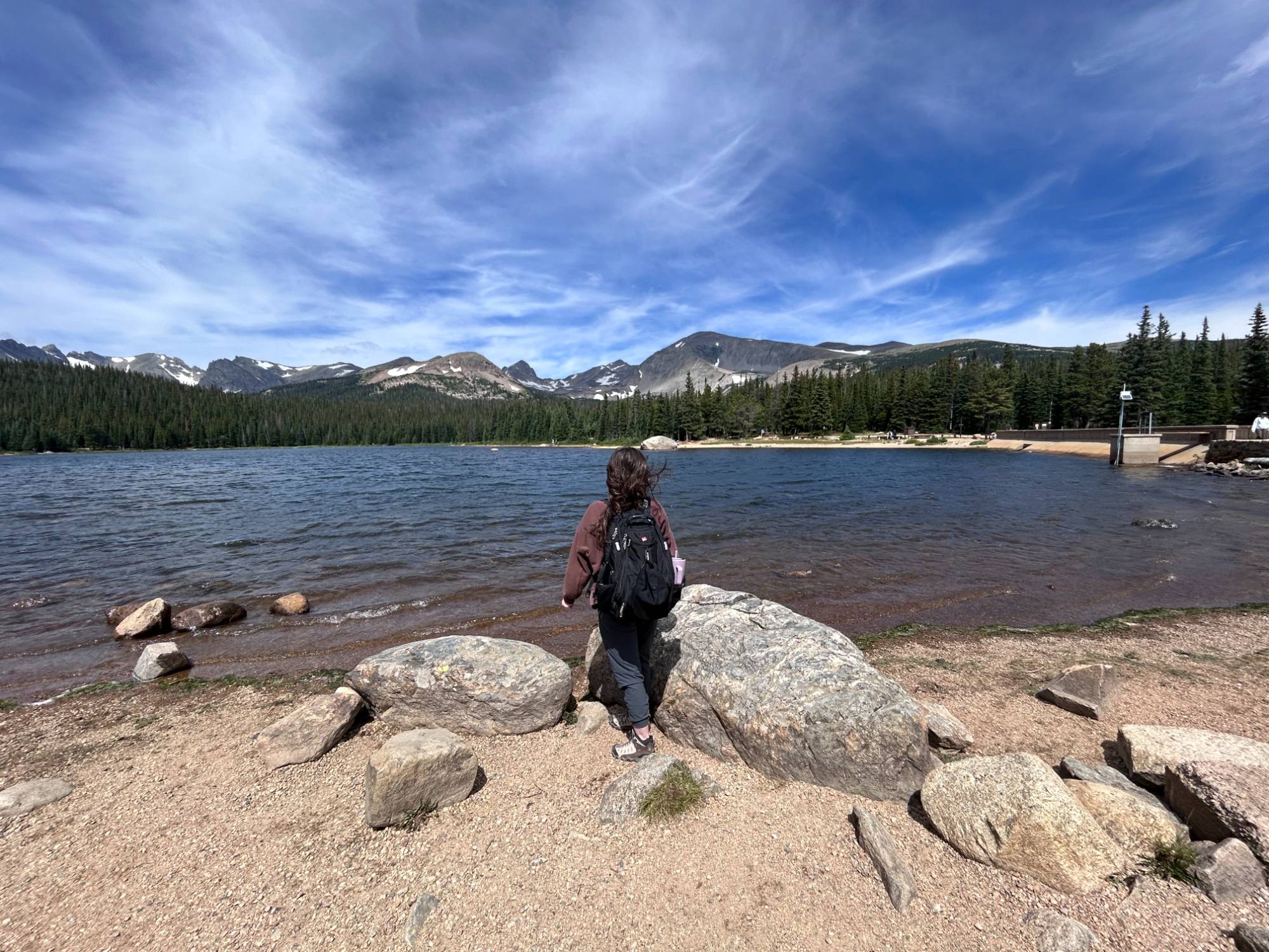 Ally brown in the field